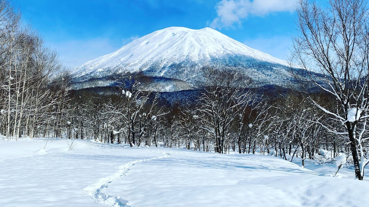 Yotei footsteps