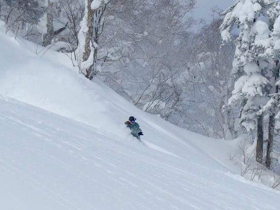 Furano sidecountry cr Powderhounds