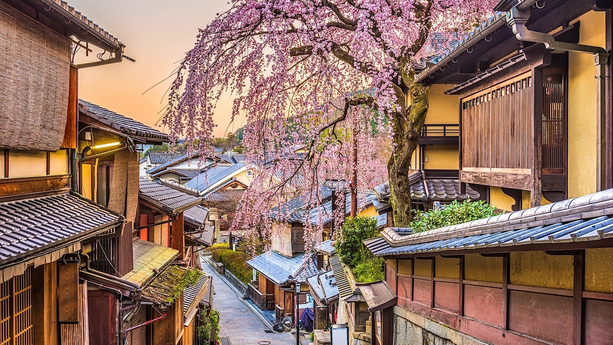 Kyoto springtime Lonely Planet