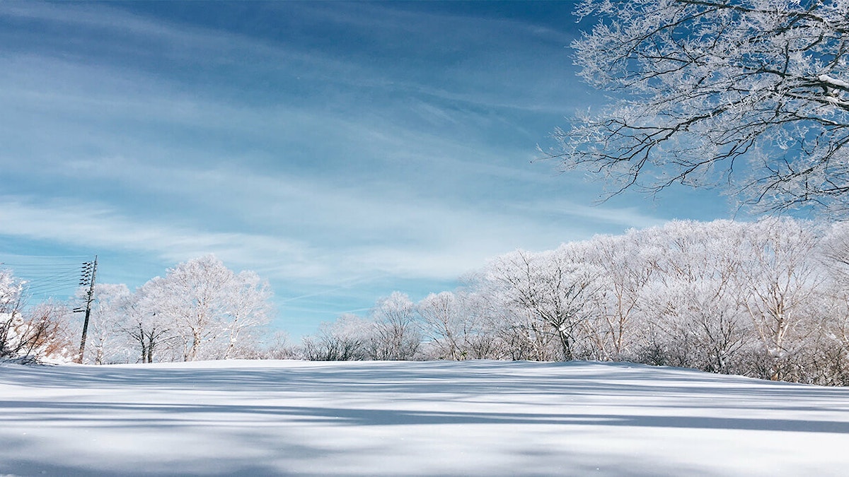 Nozawa Winter Scenery 2