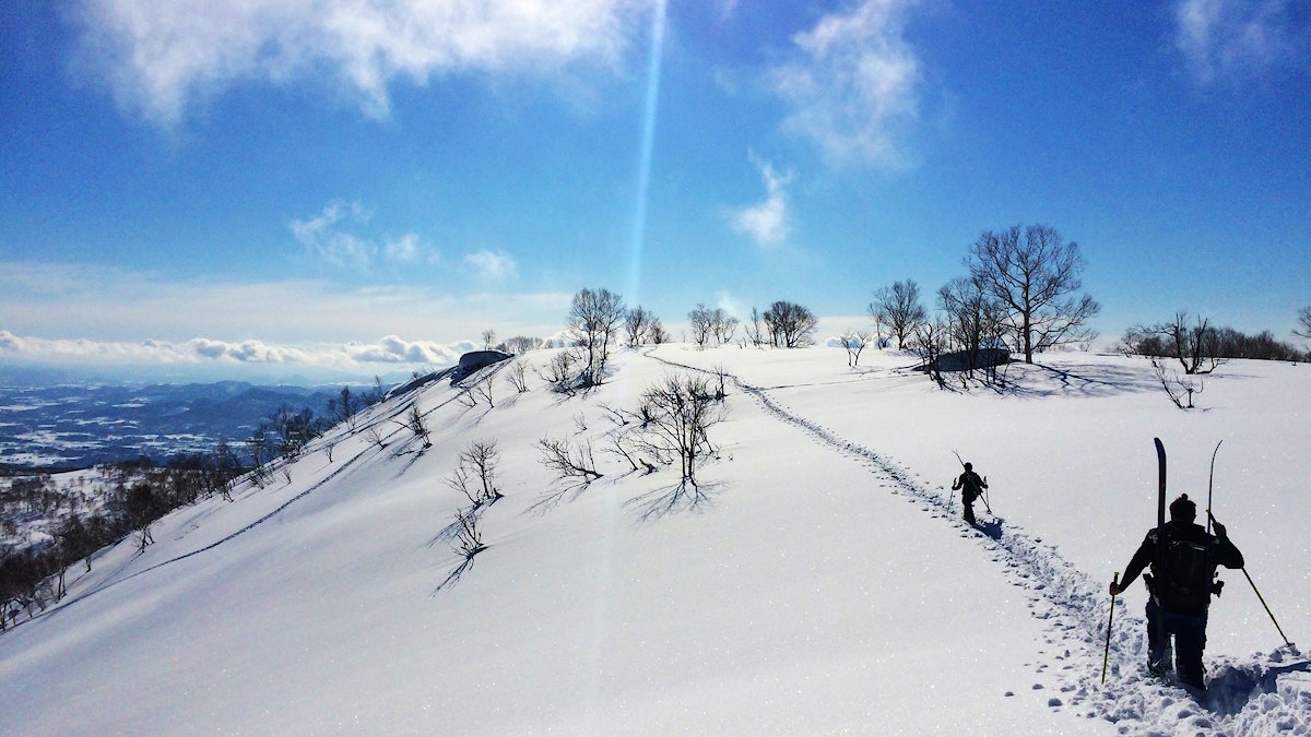 Back country niseko