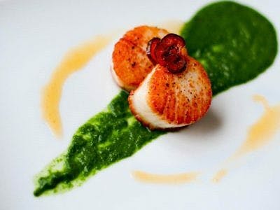 Food scallops 400x300