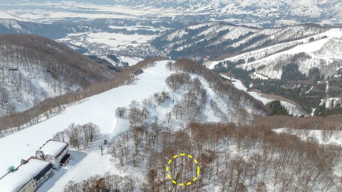 5 Winter Nozawa Ski in out