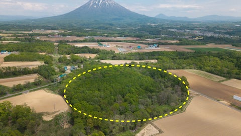 6 Soga Acreage