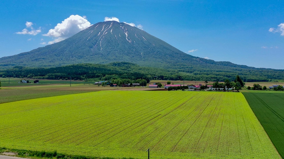 Aoki Nosan Farm Water Land 1