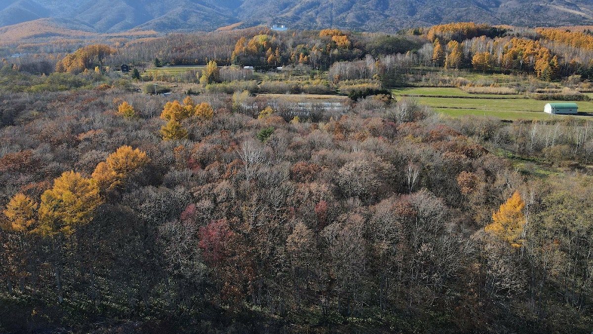 Daisetsuzan Ski Land1