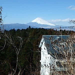 uchi