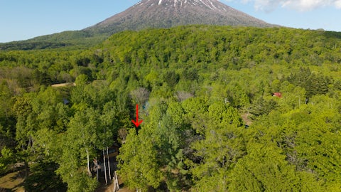 GCP 250523 029