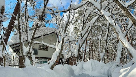 Hakuba Real Estate Misorano Cottage 6