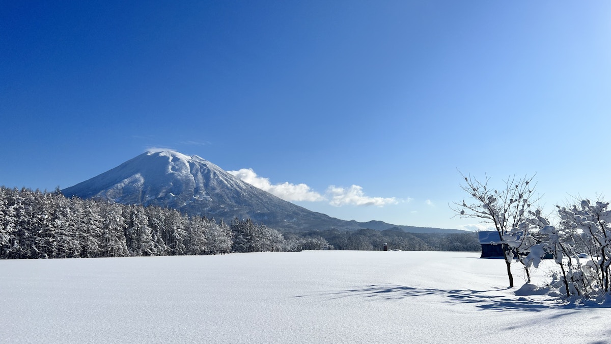 Hotaru Winter Bluebird