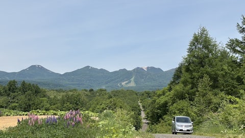 IMG 0929