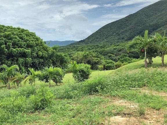 Ishigaki Island Land3