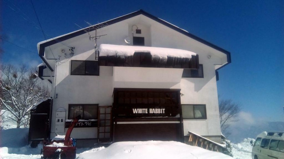 Madarao White Rabbit Wintermain