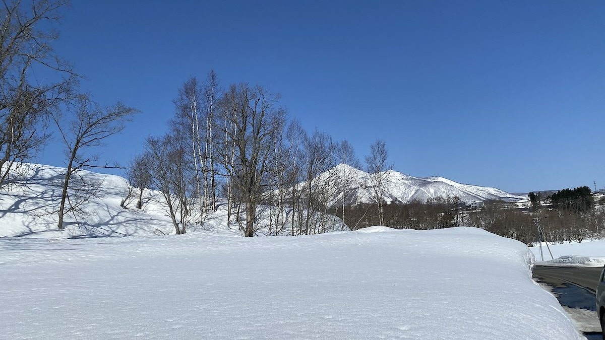 Niseko land 1036 1200x960