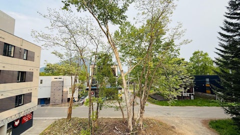 Plot 155 13 012