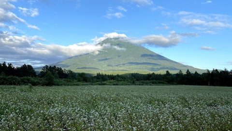 Yotei Farm Summer