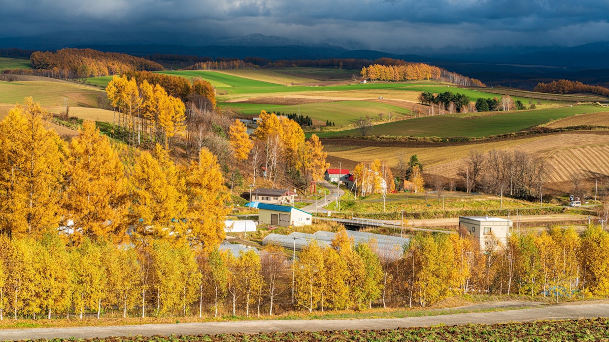 Furano 00003