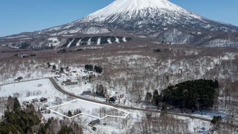 Kondo land yotei 01